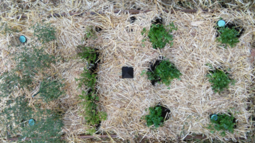Orgone Pyramid - Image 5