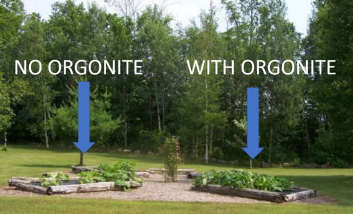 MEGA VALUE! Orgone Package Total Family Defense System - Image 4