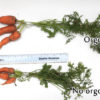 Orgone Community Garden Set - Image 6