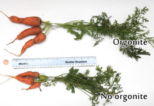 Orgone Community Garden Set - Image 6