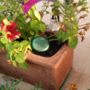 Orgone Community Garden Set - Image 16