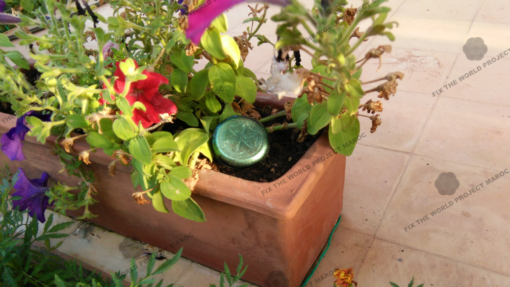 Orgone Community Garden Set - Image 16