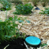Orgone Community Garden Set - Image 15