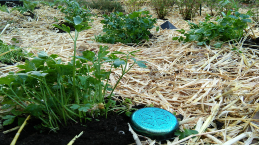 Orgone Community Garden Set - Image 15