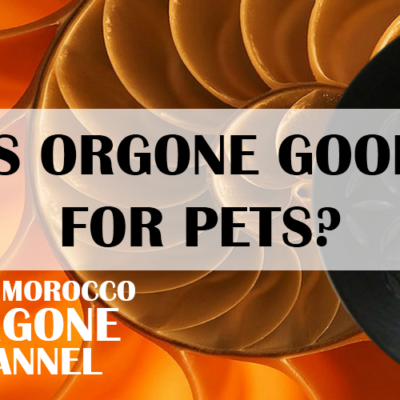 Is orgonite good for my pets? (video)