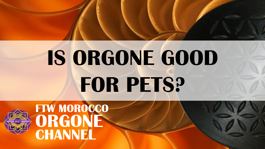 Is orgonite good for my pets? (video)