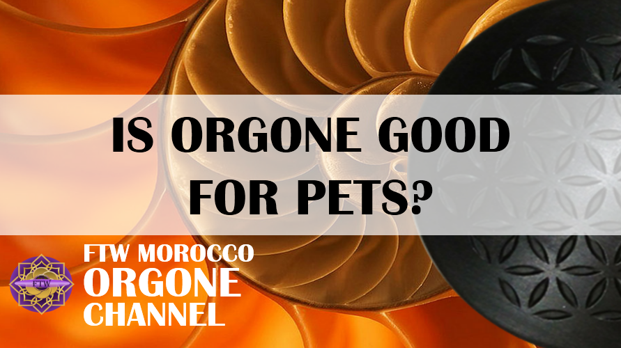 IS ORGONE GOOD FOR PETS