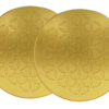 Set of Two Orgone Charge Plates Brass Finish