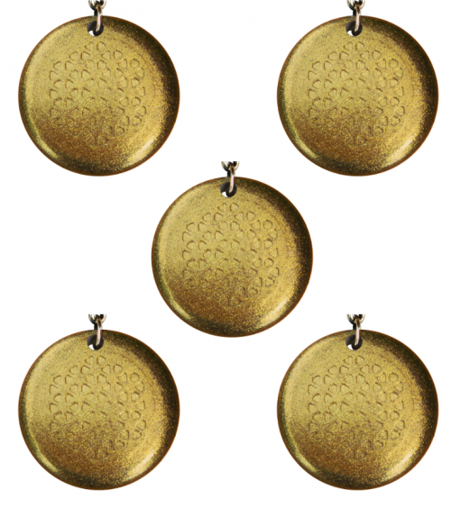 Special Offer - Family Set of 5 Orgone Pendants (Brass Finish)