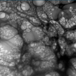 Graphene Oxide, 5G and Covid Presentation and Notes on SGT Report