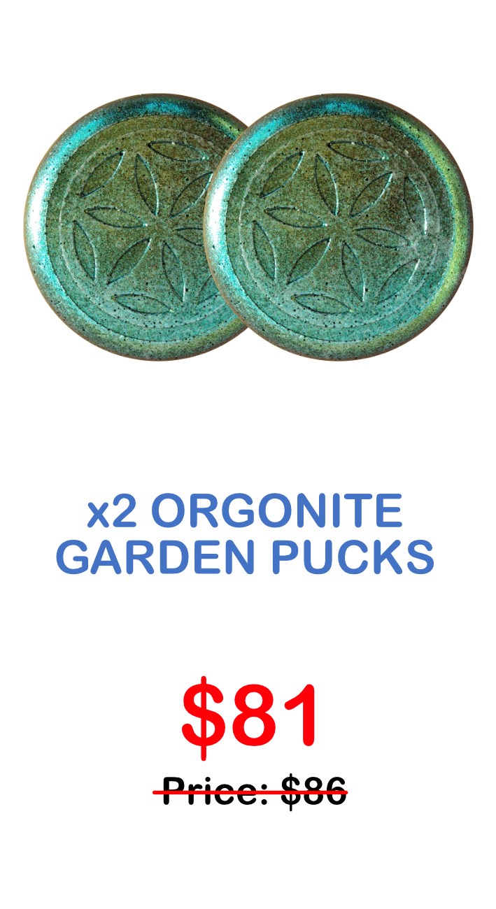 Special Offers Phone Shields Template