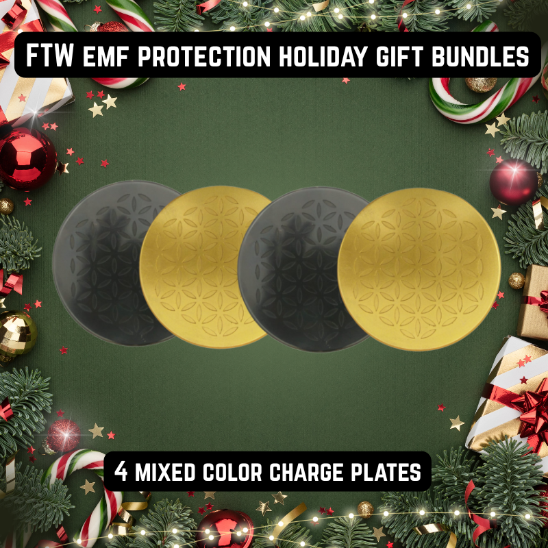 4 Mixed Charge Plates Holiday Bundle
