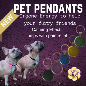 Pet Pendants