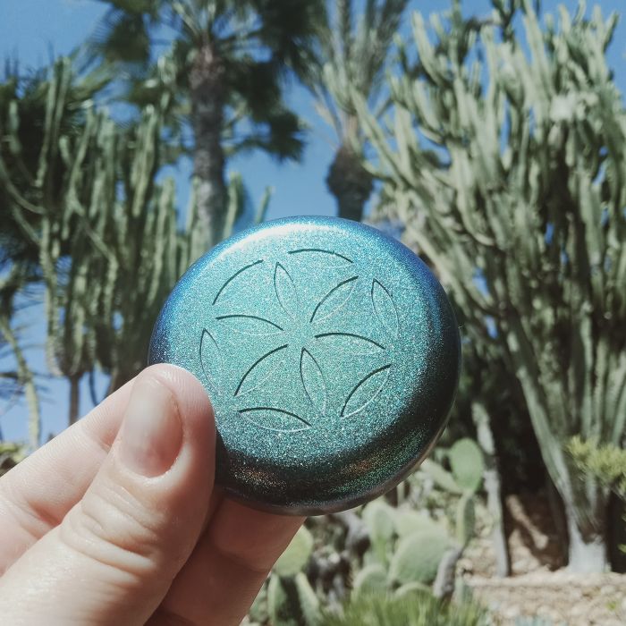 garden puck cactus