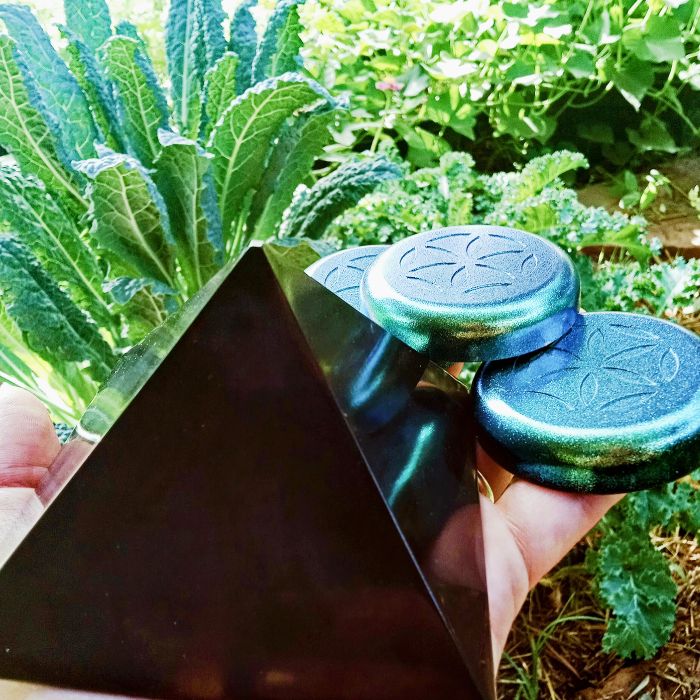 garden puck kale