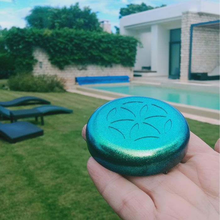 garden puck lawn
