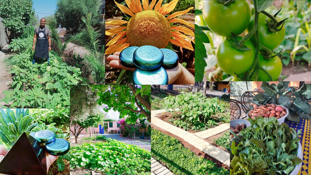gardening with orgonite